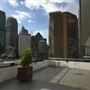 Sydney Harbour YHA