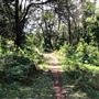 Otford Farm - Paintball Property