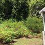 Otford Farm - Paintball Property