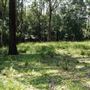 Otford Farm - Jungle Set Build Site