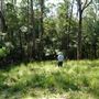 Otford Farm - Jungle Set Build Site