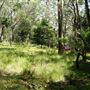 Otford Farm - Jungle Set Build Site