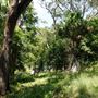 Otford Farm - Jungle Set Build Site