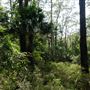 Otford Farm - Jungle Set Build Site