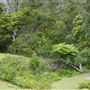 Otford Farm - The Pines Paddock with Jungle Gully