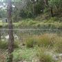 Otford Farm - 40 Acres Paddock