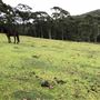 Otford Farm - 40 Acres Paddock
