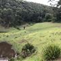 Otford Farm - 40 Acres Paddock