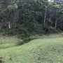 Otford Farm - 40 Acres Paddock