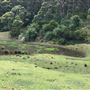 Otford Farm - 40 Acres Paddock