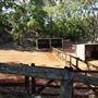 Otford Farm - Horse Farm