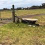 Otford Farm - Crazy T Farm