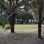 Set Build Sites - Sydney International Regatta Centre