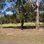 Set Build Sites - Sydney International Regatta Centre
