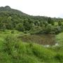 Hidden Creek