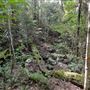 Hidden Creek