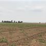 Greater Sydney Local Land Services Demonstration Farm