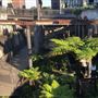 Paddington Reservoir Gardens