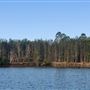 Brunswick River