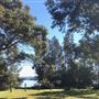 Swan Lake - Swanhaven