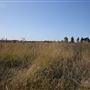Bungarribee Park  - Western Sydney Parklands