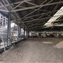Sydney Showground - Horse Marshaling Arena