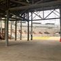 Sydney Showground - Woodchop Stadium