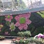 Royal Botanic Garden Sydney