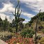 Royal Botanic Garden Sydney