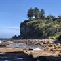 Avalon Beach