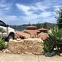 Whale Beach