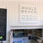 Whale Beach