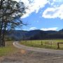 Lemon Tree Cottage - Kangaroo Valley