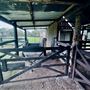 Tobruk Sheep Station - Cottages & surrounds