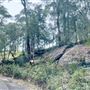 Tobruk Sheep Station - Cottages & surrounds