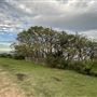 Dover Heights - Coastline @ Raleigh & Rodney Reserves