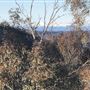 Private Property - Tumbarumba, NSW