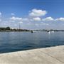 Clarkes Point Reserve