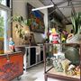The Rainforest Shed