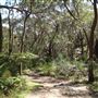 Darkes Forest Ranch