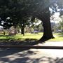 Goulburn