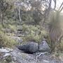 Bungonia National Park