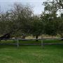 Belgenny Farm