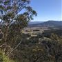 Centennial Glen Walking Track