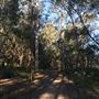 Glenbrook Lagoon
