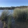 Glenbrook Lagoon