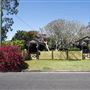 House Styles in Alstonville