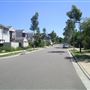 Suburban Houses - Newington