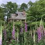 Sefton Hall