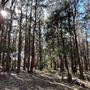 Burilda Park